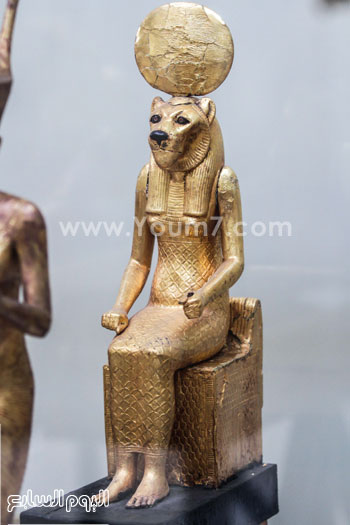 اليوم السابع -12 -2015