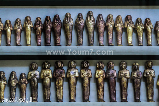 اليوم السابع -12 -2015