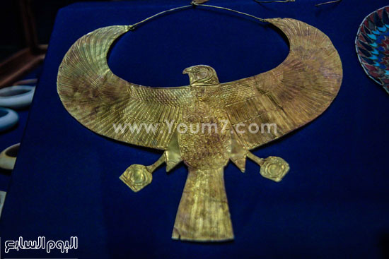 اليوم السابع -12 -2015