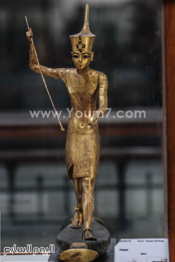 اليوم السابع -12 -2015