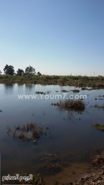 اليوم السابع -12 -2015 اليوم السابع -12 -2015