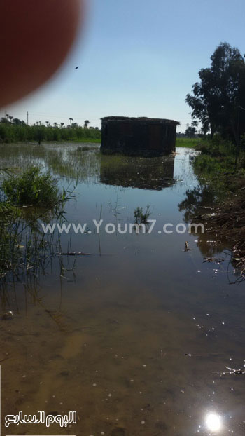 اليوم السابع -12 -2015 اليوم السابع -12 -2015