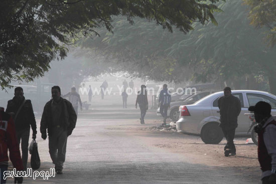 اليوم السابع -12 -2015