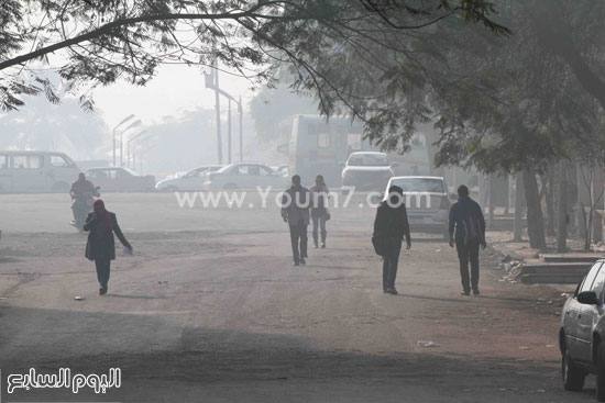 اليوم السابع -12 -2015