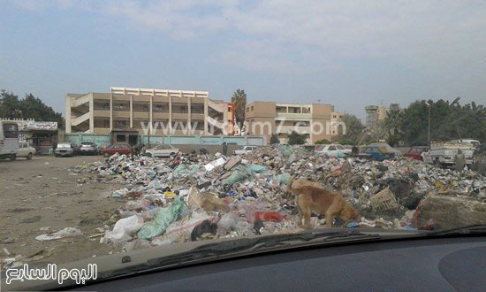 اليوم السابع -12 -2015