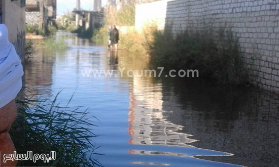 اليوم السابع -12 -2015