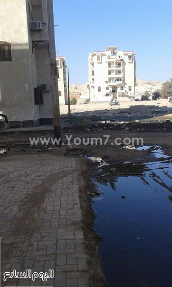 اليوم السابع -12 -2015