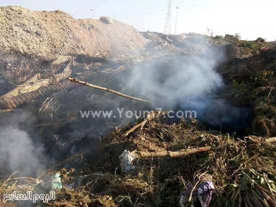 اليوم السابع -12 -2015