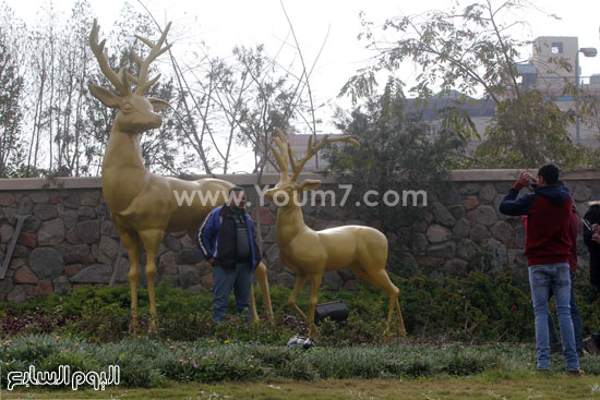 اليوم السابع -12 -2015