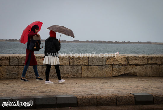 اليوم السابع -12 -2015