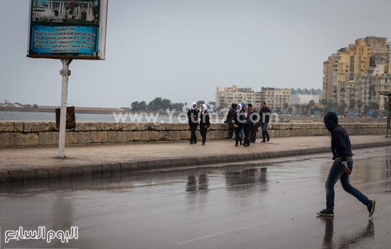 اليوم السابع -12 -2015