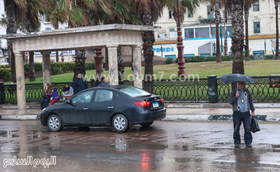 اليوم السابع -12 -2015