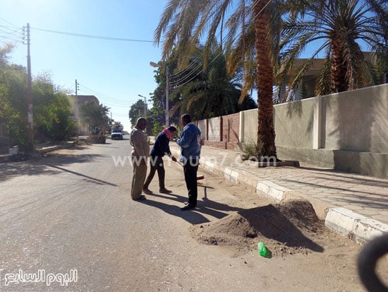 اليوم السابع -12 -2015