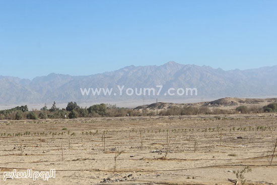 اليوم السابع -12 -2015