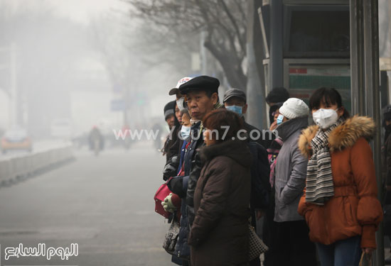 اليوم السابع -12 -2015