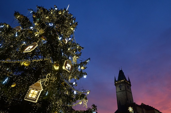 شجرة عيد الميلاد الضخمة فى التشيك -اليوم السابع -12 -2015