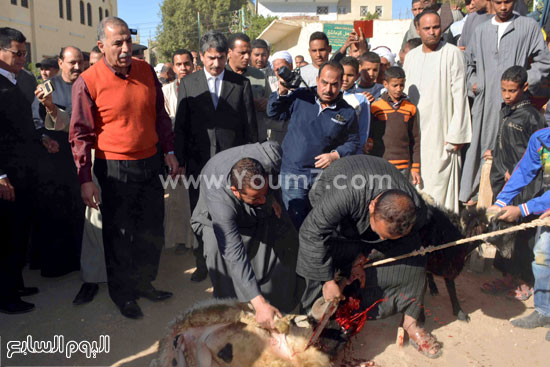 اليوم السابع -12 -2015