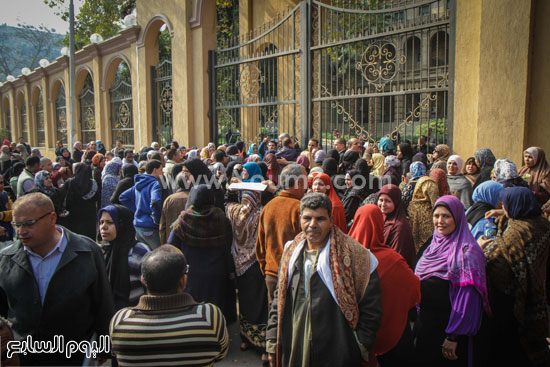 وزارة الزراعة  اخبار اليوم اخبارعمال التشجير مظاهرات العمالة المؤقتة اخبار مصر ىاليوم (3)