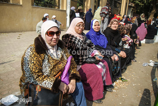 وزارة الزراعة  اخبار اليوم اخبارعمال التشجير مظاهرات العمالة المؤقتة اخبار مصر ىاليوم (15)