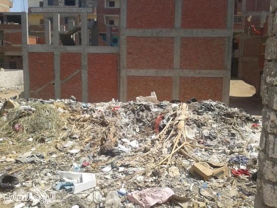 صحافة المواطن، تراكم القمامة، صرف صحى، قرية الرملة، منطقة الجزيرة  (3)