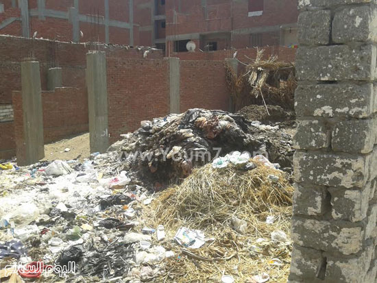 صحافة المواطن، تراكم القمامة، صرف صحى، قرية الرملة، منطقة الجزيرة  (6)