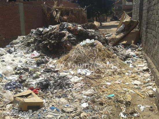 صحافة المواطن، تراكم القمامة، صرف صحى، قرية الرملة، منطقة الجزيرة  (7)