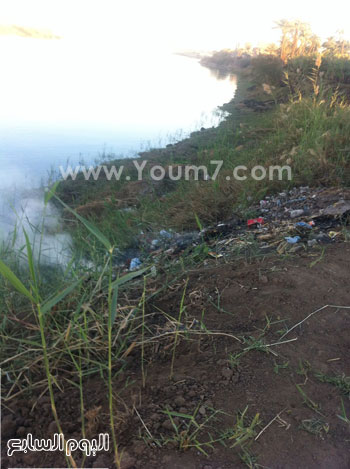 القمامة-على-ضفاف-النيل-بقرية-دندره-(1)