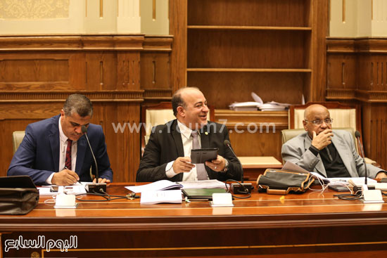 بهاء ابو شقة  اخبار البرلمان  اخبار النواب  لجنة اعداد اللائحة (10)