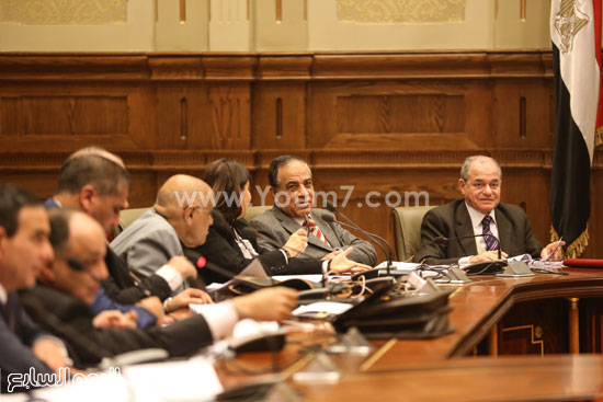 بهاء ابو شقة  اخبار البرلمان  اخبار النواب  لجنة اعداد اللائحة (16)