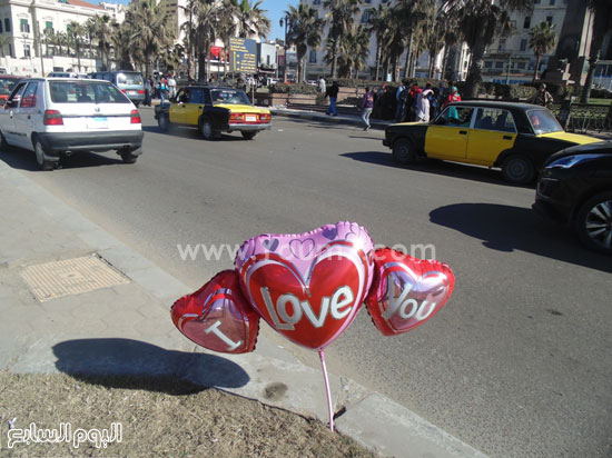 كورنيش الإسكندرية يحتفل بعيد الحب (3)