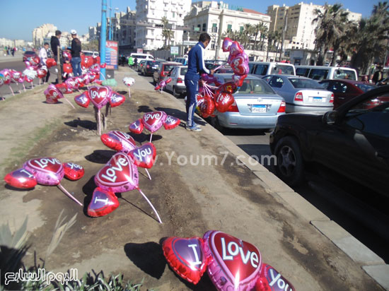 كورنيش الإسكندرية يحتفل بعيد الحب (4)