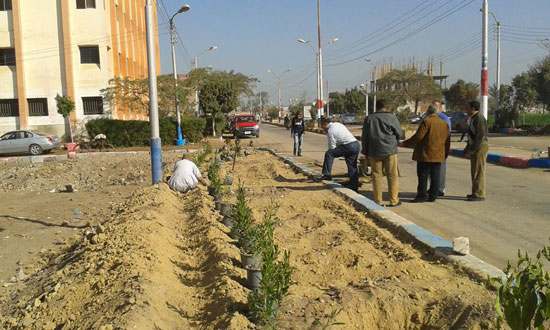 تجميل شوارع مدينة سمسطا ببنى سويف (2)