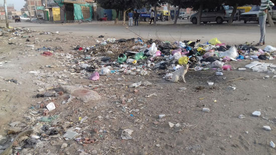 القمامة تحاصر شوارع فاقوس (3)