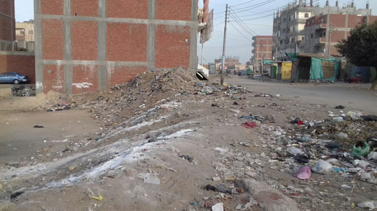 القمامة تحاصر شوارع فاقوس (4)