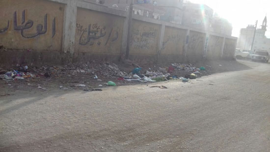 القمامة تحاصر شوارع فاقوس (5)