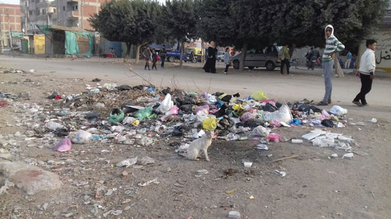 القمامة تحاصر شوارع فاقوس (6)