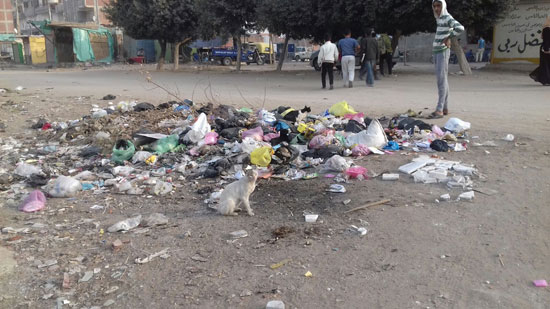 القمامة تحاصر شوارع فاقوس (7)