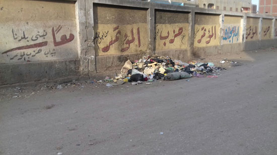 القمامة تحاصر شوارع فاقوس (11)