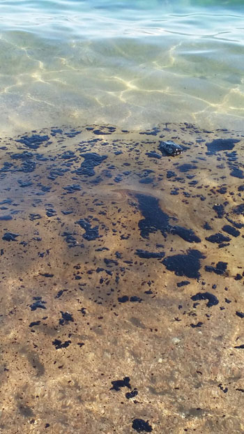 انتشار بقعة زيت بشواطئ نويبع (2)