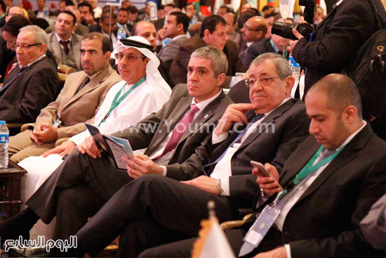 اتحاد المحاسبين العرب (17)هيئة الرقابة المالية شريف سامى 