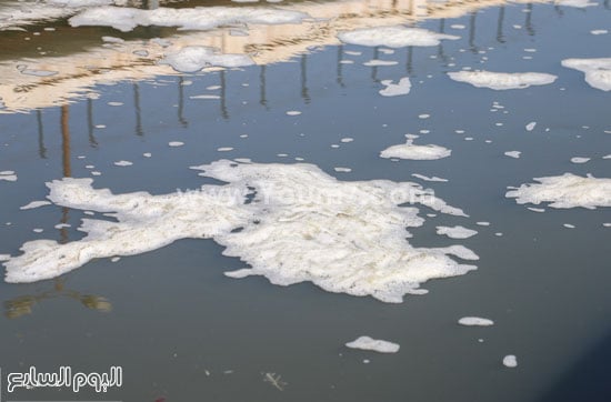 1الاسكندرية كارثة بيئيةصحافة المواطن صور وابعت مخلفات خندق المكس (1)