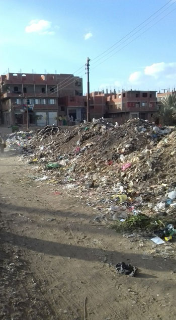 القمامة بقرية المريج (4)