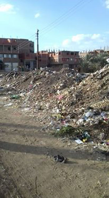 القمامة بقرية المريج (5)