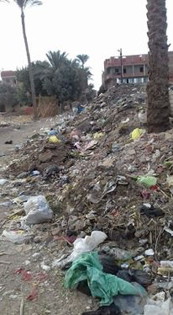 القمامة بقرية المريج (9)