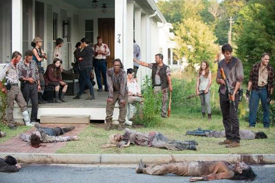 The Walking Dead (7)