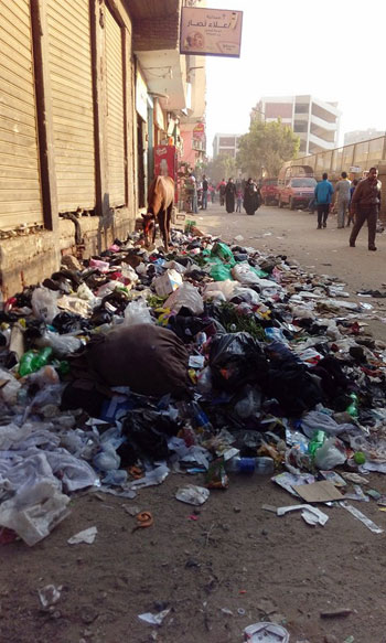 صحافة المواطن، اخبار مصر، بشتيل البلد، ازمة القمامة، انتشار القمامة، محافظة الجيزة (4)