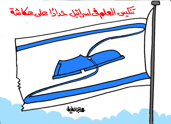 تنكيس-علم-إسرائيل-بعد-ضرب-توفيق-عكاشة-بالحذاء-فى-كاريكاتير-اليوم-السابع-(2)