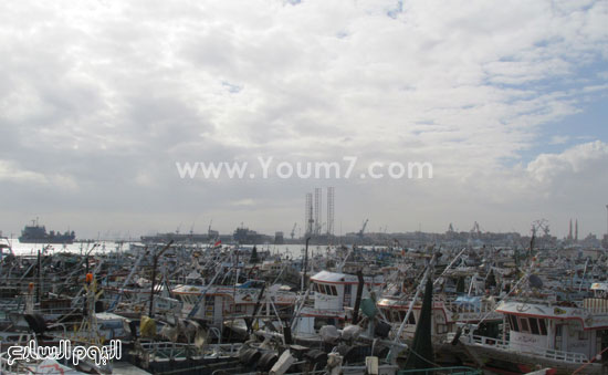 ميناء الصيد فى بورسعيد (1)