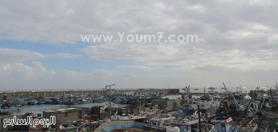 ميناء الصيد فى بورسعيد (2)