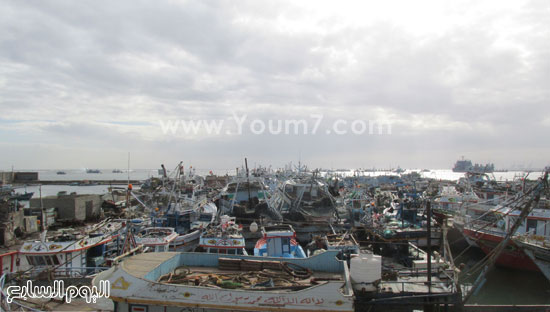 ميناء الصيد فى بورسعيد (7)